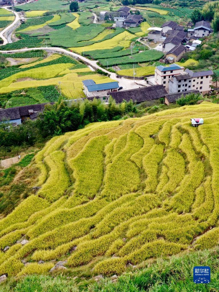 澳门真钱赌盘